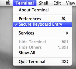 Terminal Secure Keyboard Entry